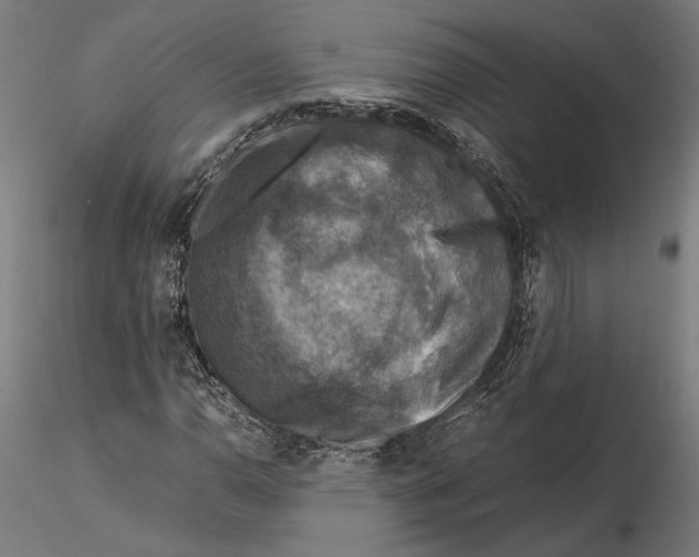 X0000115511110200912041055