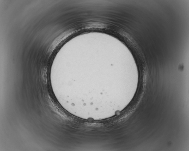 X0000115511113200912041055