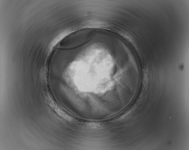 X0000115511114200912041055