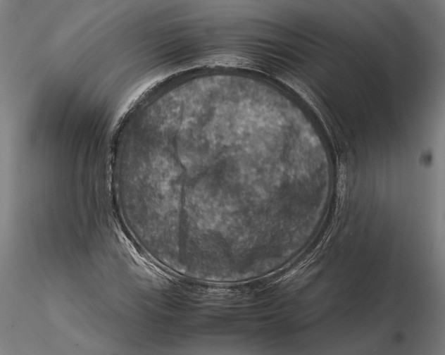 X0000115511115200912041055