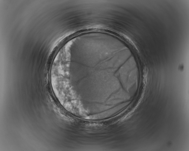 X0000115511117200912041055