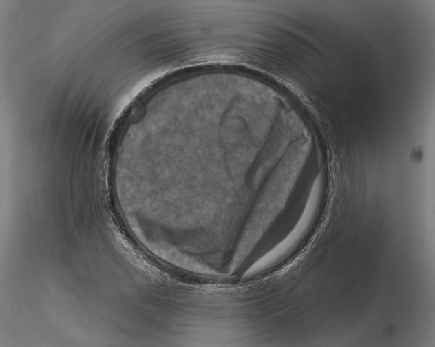 X0000115511118200912041055