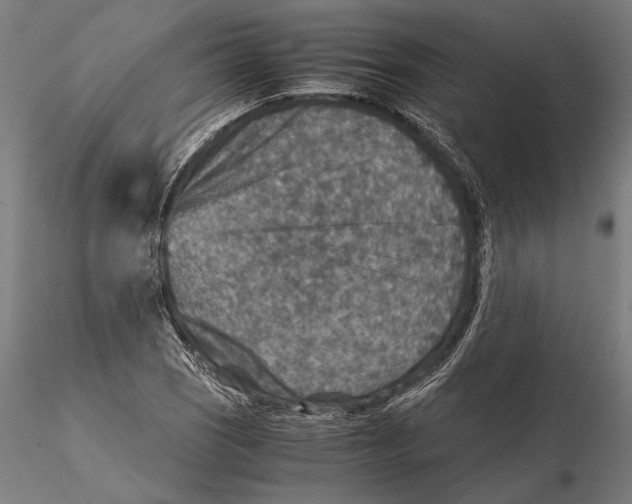 X0000115511121200912041055