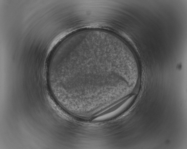 X0000115511122200912041055