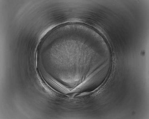 X0000115511127200912041055