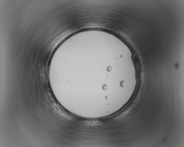 X0000115511129200912041055