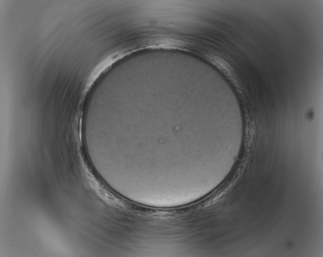 X0000115511130200912041055