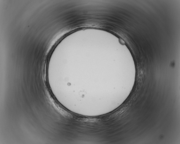 X0000115511131200912041055