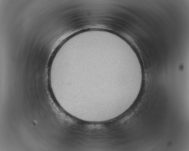 X0000115511133200912041055