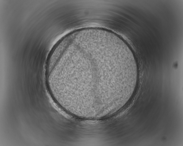 X0000115511134200912041055