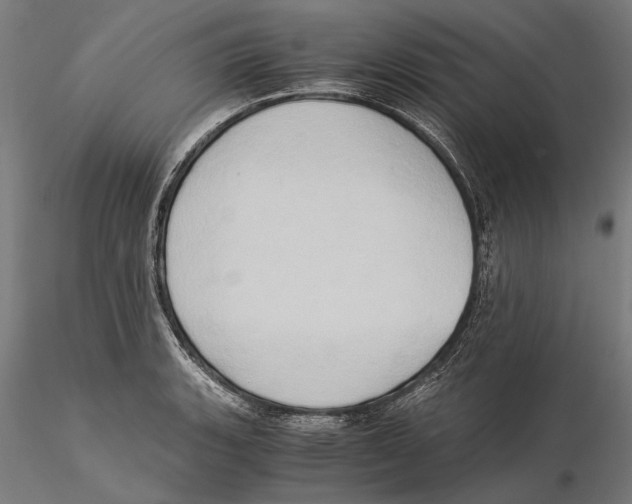 X0000115511135200912041055