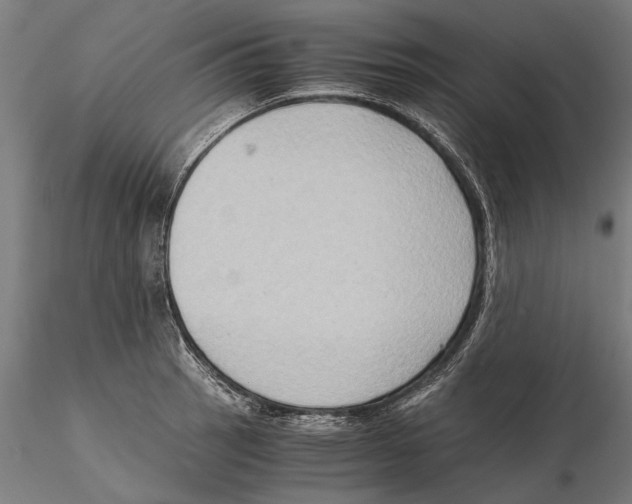 X0000115511137200912041055