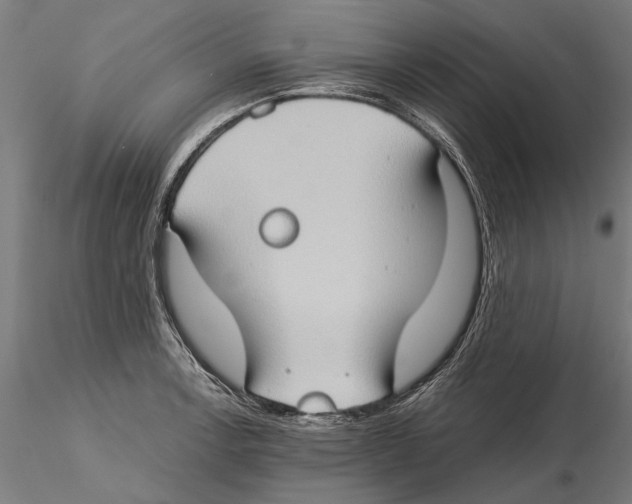 X0000115511138200912041055