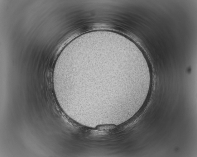 X0000115511145200912041055