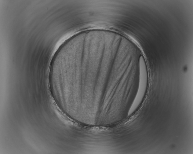 X0000115511146200912041055