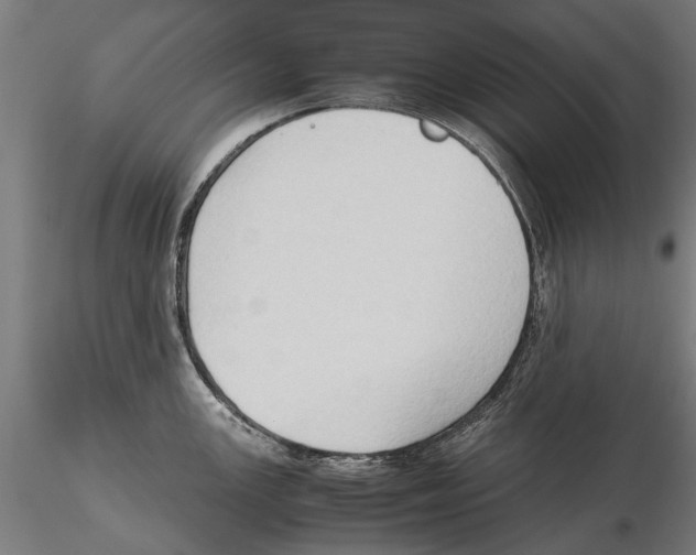 X0000115511147200912041055