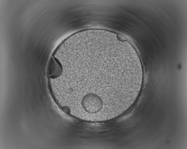 X0000115511149200912041056