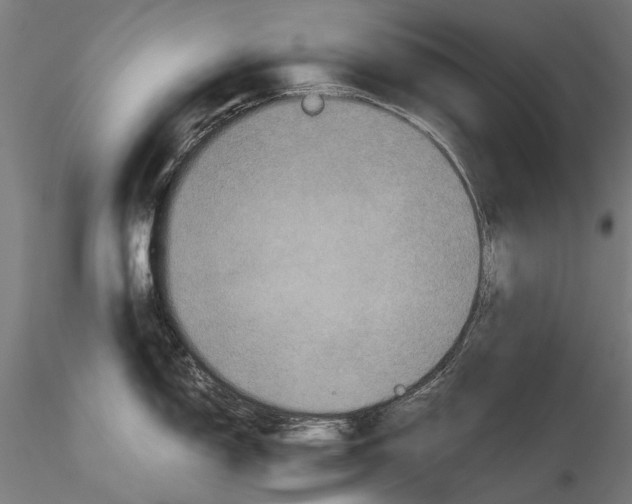 X0000115511150200912041056