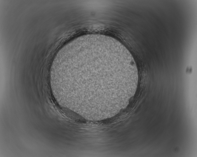 X0000115511153200912041055