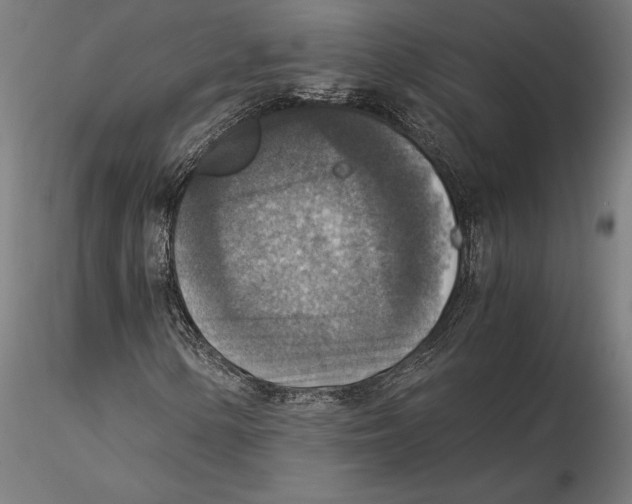 X0000115511154200912041055