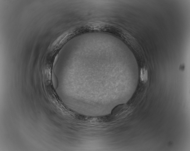 X0000115511155200912041055