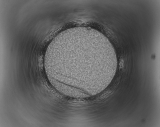 X0000115511156200912041055