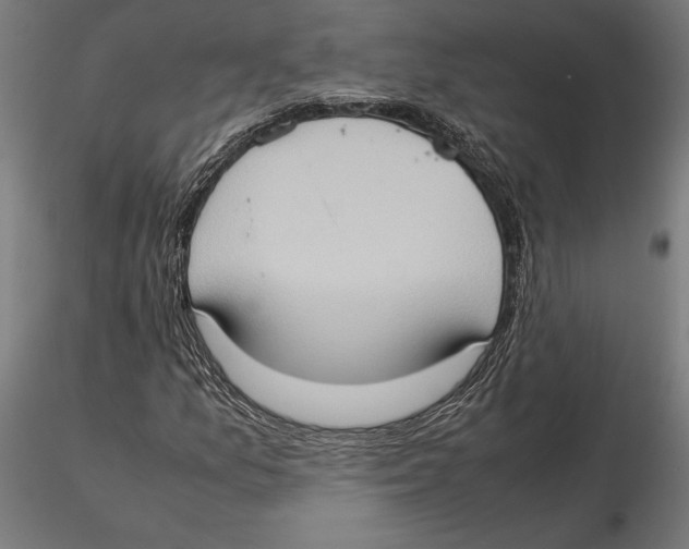 X0000115511157200912041055