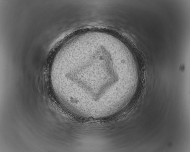 X0000115511159200912041055