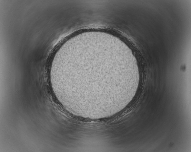 X0000115511160200912041055