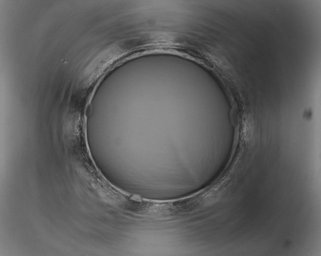 X0000115511161200912041055