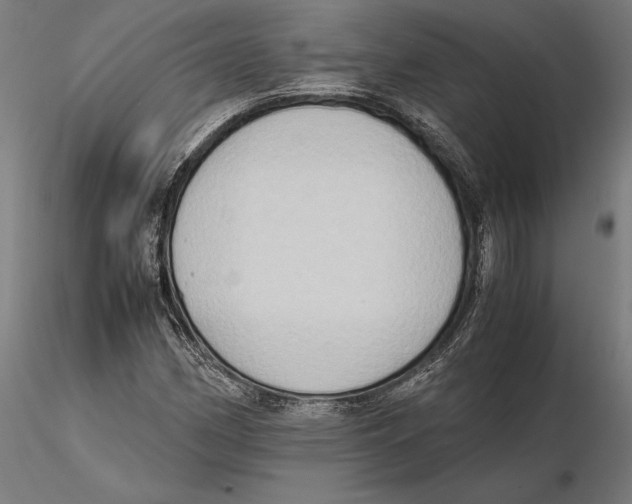 X0000115511162200912041055