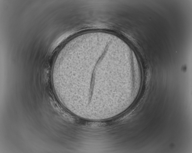 X0000115511163200912041055