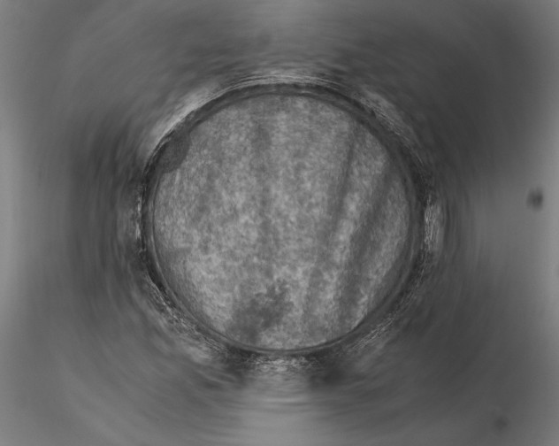 X0000115511165200912041055