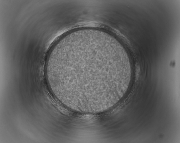 X0000115511166200912041055