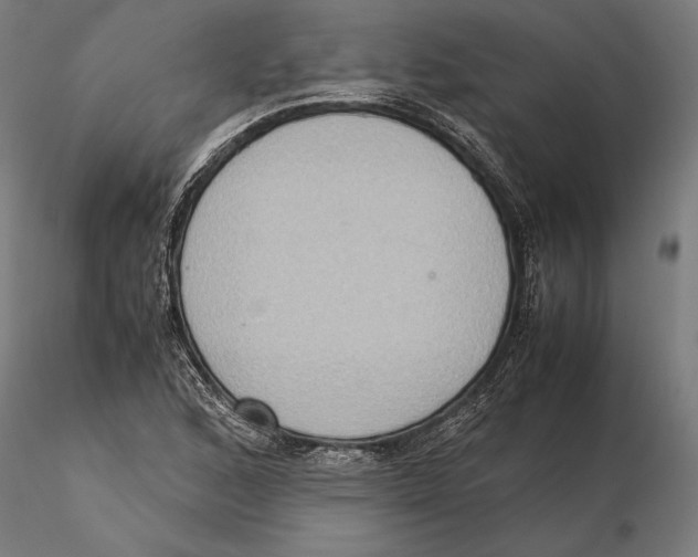 X0000115511168200912041055