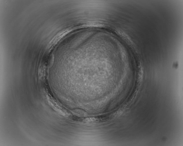 X0000115511169200912041055