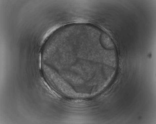 X0000115511171200912041055