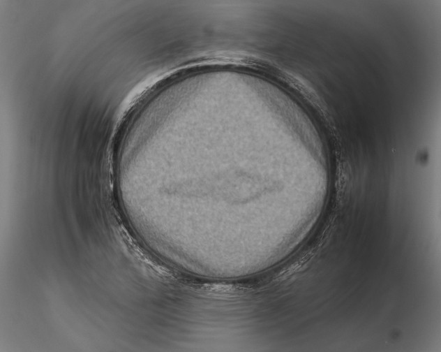 X0000115511172200912041055