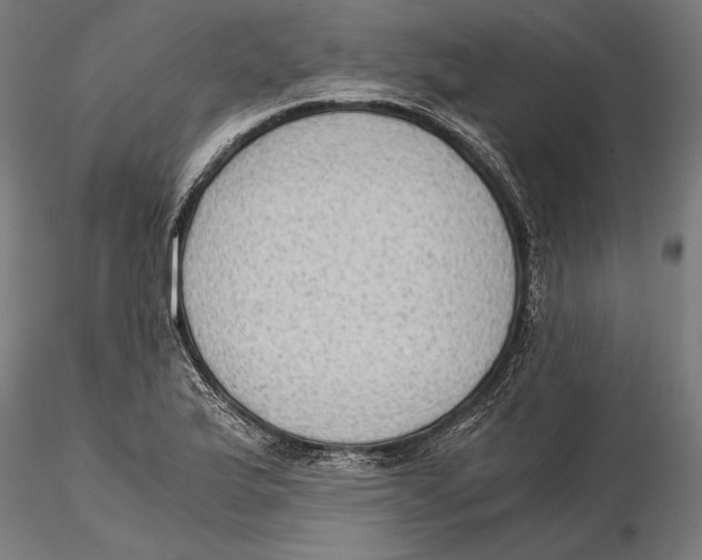 X0000115511175200912041055