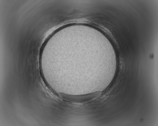 X0000115511176200912041055