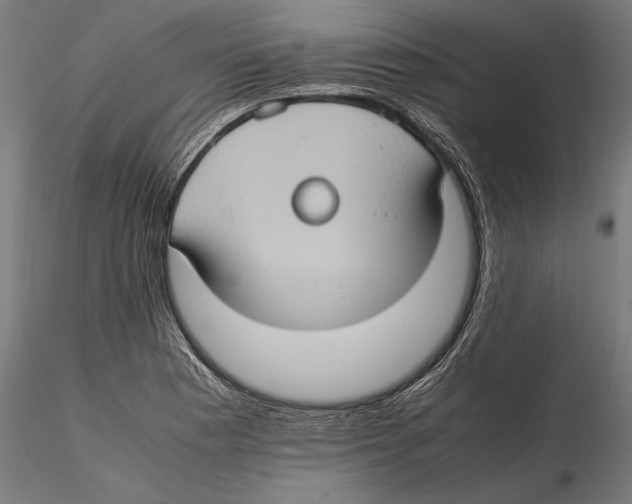 X0000115511177200912041055