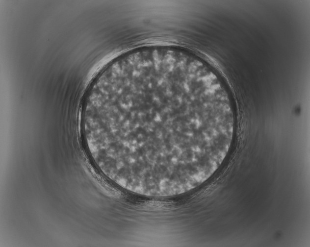 X0000115511179200912041055