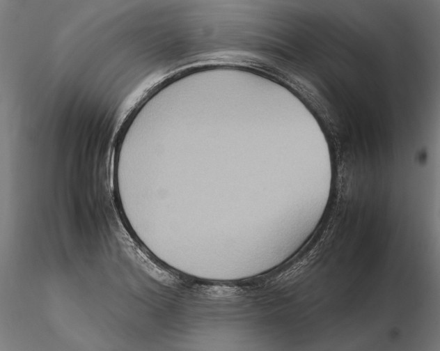 X0000115511180200912041055