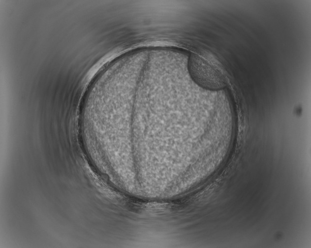 X0000115511181200912041055