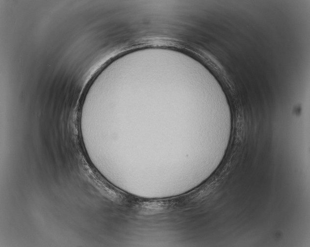 X0000115511182200912041055