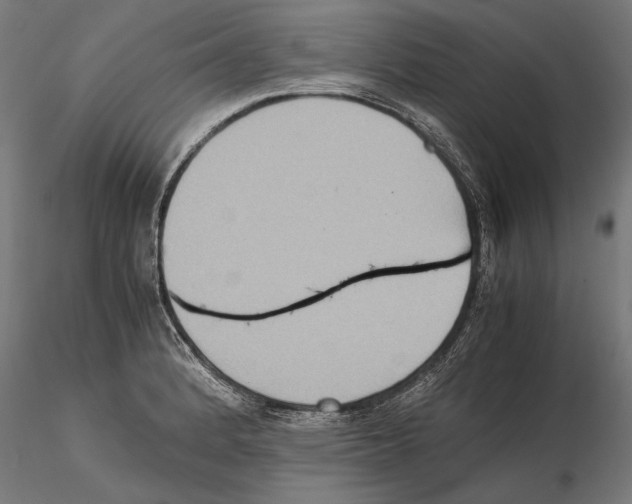 X0000115511184200912041054