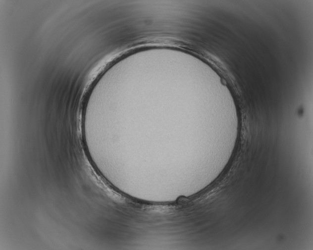 X0000115511188200912041054