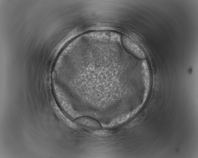 X0000115511189200912041054