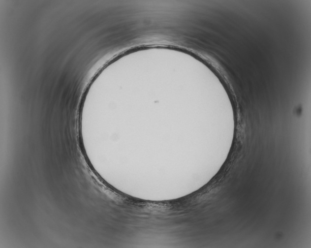 X0000115511191200912041054