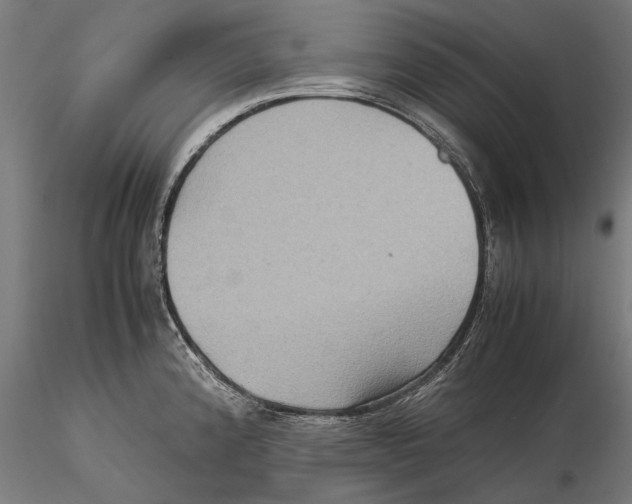 X0000115511192200912041054